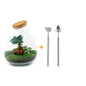 DIY terrarium - Drop XL Bonsai -↕ 37 cm - Rake + Shovel + Tweezer