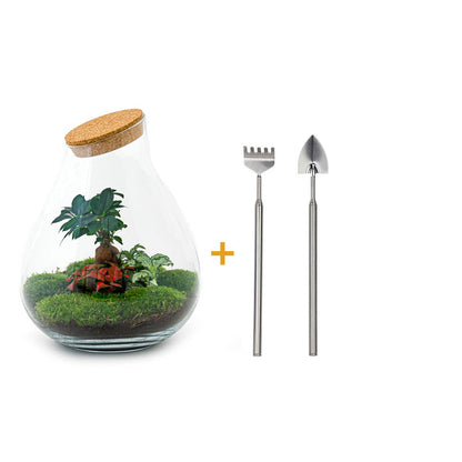 DIY terrarium - Drop XL Bonsai -↕ 37 cm - Normal