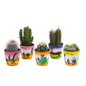 Cactus mix ↕10-15cm (5 Stuks) - in gekleurde plastic pot