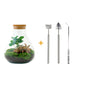 DIY terrarium - Sammie Coffea - ↕ 27 cm - Normal