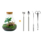 DIY terrarium - Sammie Coffea - ↕ 27 cm - Rake + Shovel