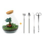 DIY terrarium - Drop XL Bonsai -↕ 37 cm - Normal