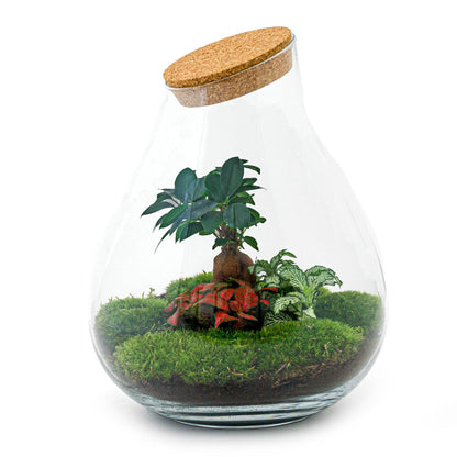 DIY terrarium - Drop XL Bonsai -↕ 37 cm - Rake + Shovel + Tweezer + Scissors