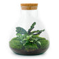 DIY terrarium - Sammie - ↕ 27 cm - Rake + Shovel + Tweezer