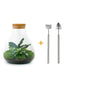 DIY terrarium - Sammie - ↕ 27 cm - Rake + Shovel + Tweezer