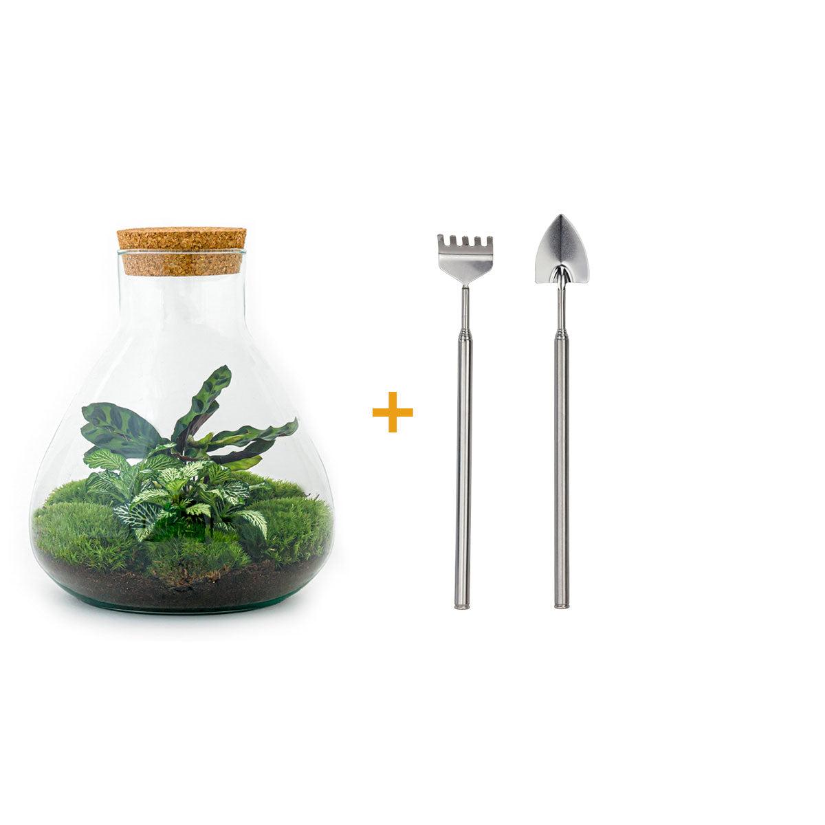 DIY terrarium – Sammie – ↕ 27 cm