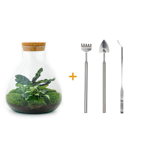 DIY terrarium - Sammie - ↕ 27 cm - Rake + Shovel + Tweezer