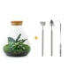 DIY terrarium - Sammie - ↕ 27 cm - Rake + Shovel + Tweezer