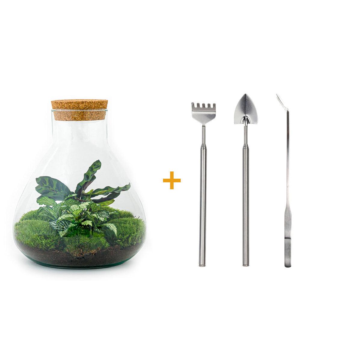 DIY terrarium - Sammie - ↕ 27 cm - Rake + Shovel