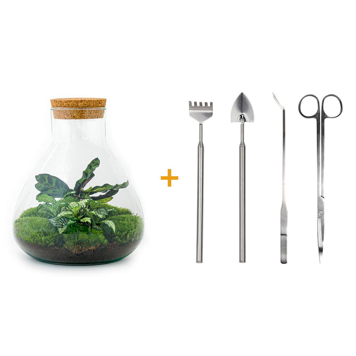 DIY terrarium - Sammie - ↕ 27 cm - Rake + Shovel + Tweezer