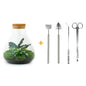 DIY terrarium - Sammie - ↕ 27 cm - Rake + Shovel + Tweezer