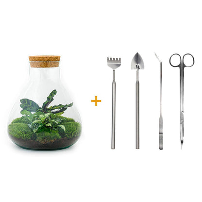 DIY terrarium - Sammie - ↕ 27 cm - Rake + Shovel