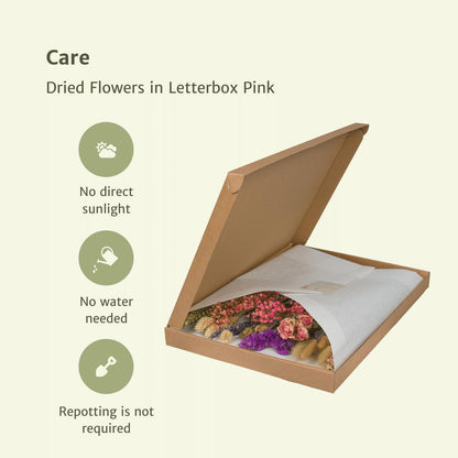 Droogbloemen in letterbox - Pink