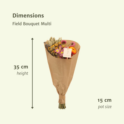 Veld boeket droogbloemen -  Multi - ↨35cm