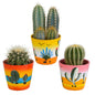 Cactus mix ↕16-21cm (3 Stuks) - in Mexicaanse pot