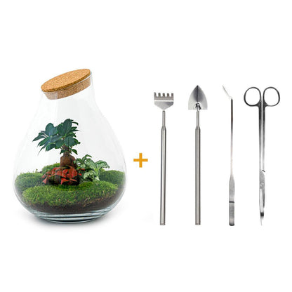 DIY terrarium - Drop XL Bonsai -↕ 37 cm - Rake + Shovel + Tweezer + Scissors