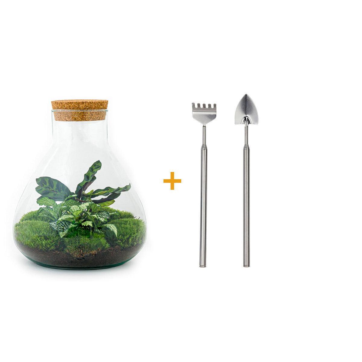 DIY terrarium - Sammie - ↕ 27 cm - Rake + Shovel