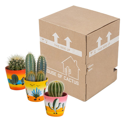 Cactus mix ↕16-21cm (3 Stuks) - in Mexicaanse pot