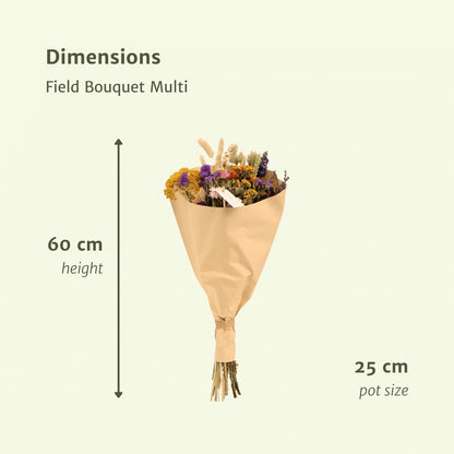 Veld boeket droogbloemen - Multi -↨60cm