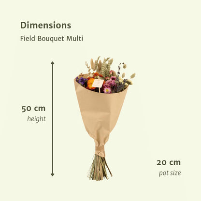 Veld boeket droogbloemen - Multi - ↨50cm