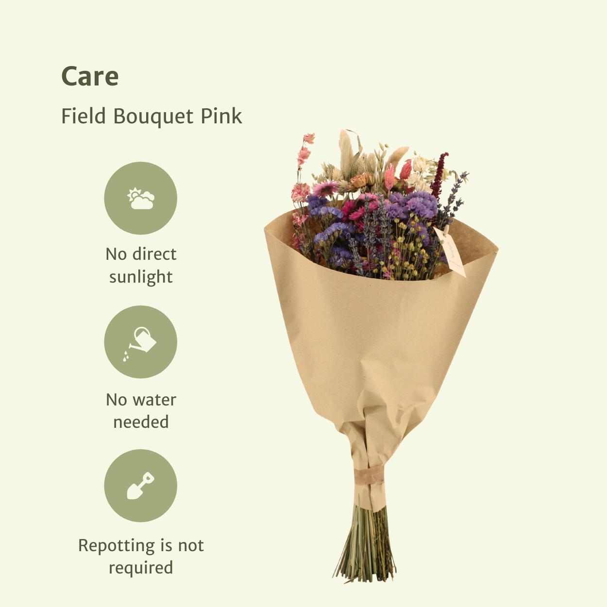 Veld boeket droogbloemen - Pink - ↨50cm