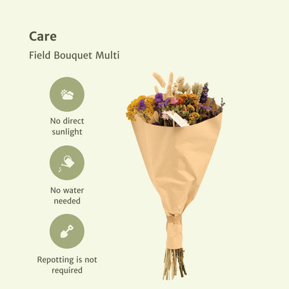 Veld boeket droogbloemen - Multi -↨60cm