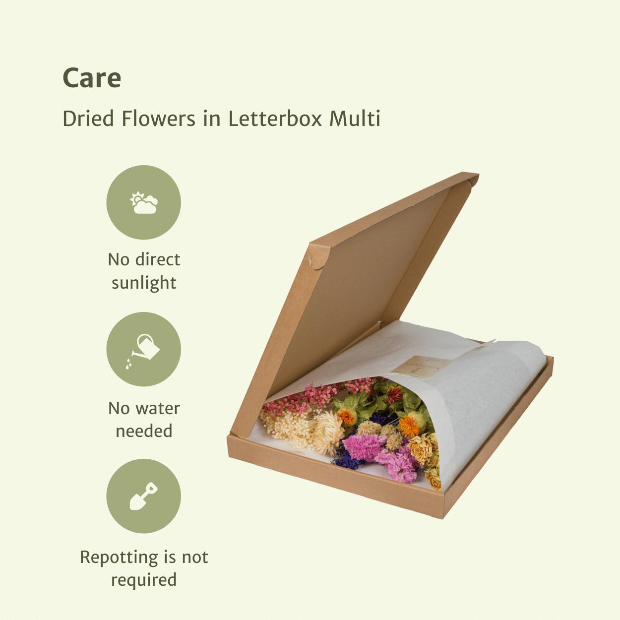 Droogbloemen in letterbox - Multi