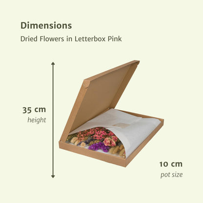 Droogbloemen in letterbox - Pink