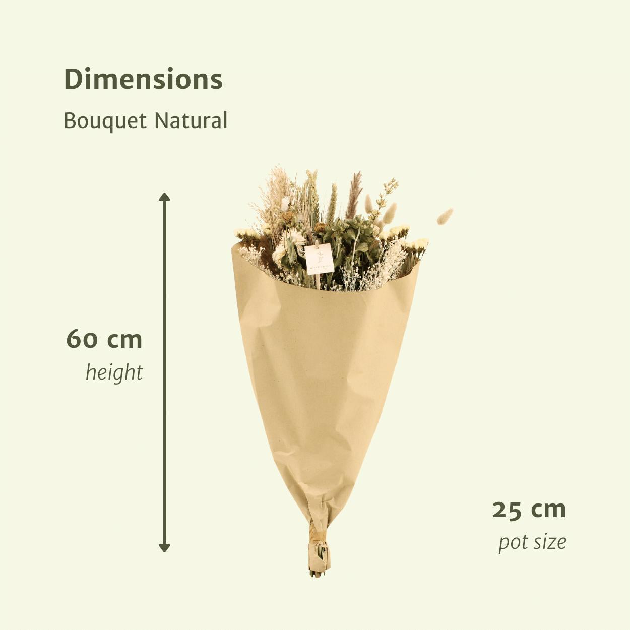 Veld boeket droogbloemen - Natural  - ↨60cm